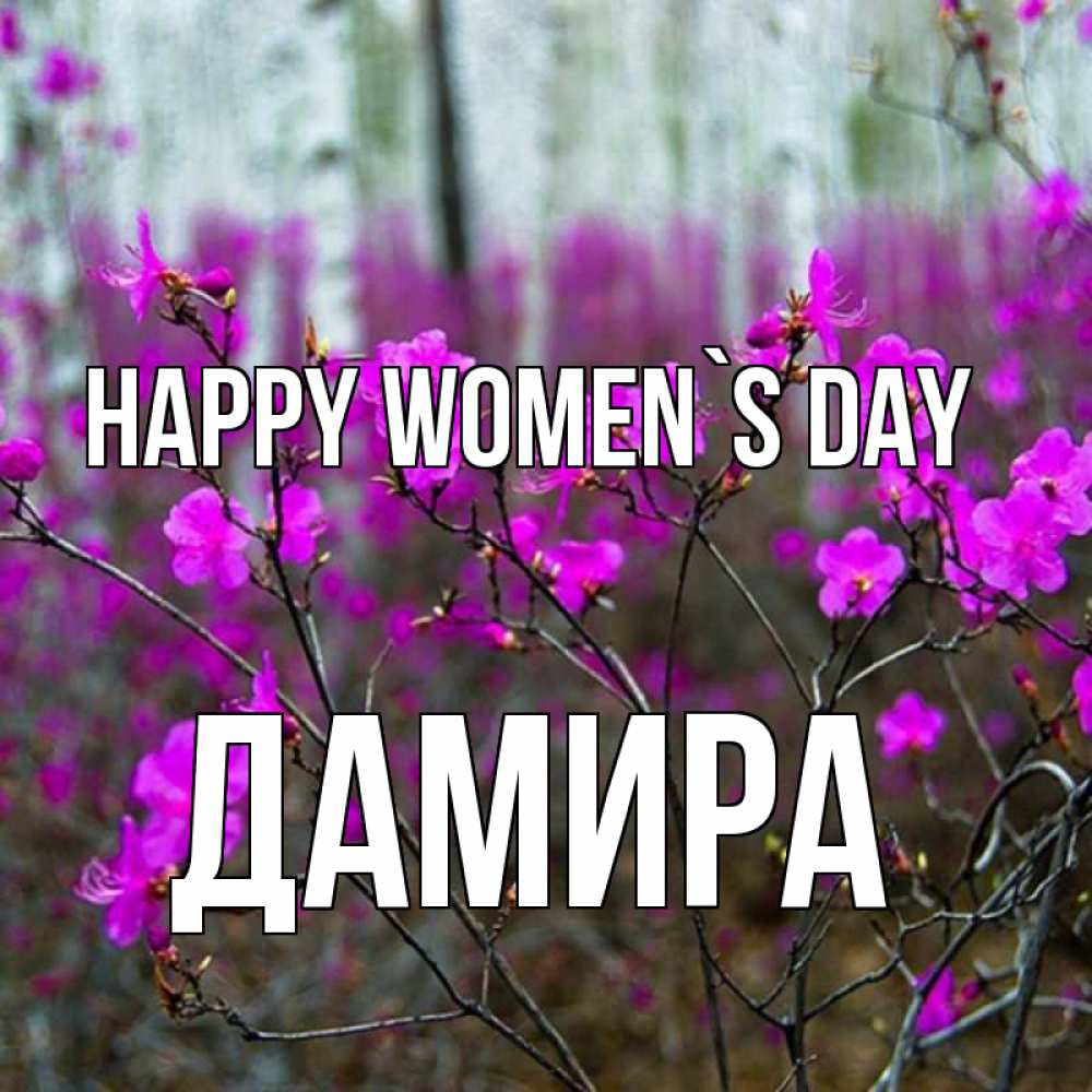 Greetings card с именем, ДАМИРА happy women`s day дикие цветы Greetings with text for free download 